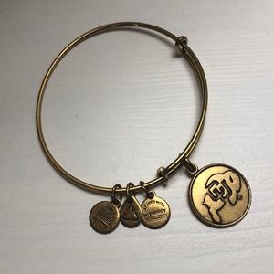 Alex and Ani University of Colorado charm bangle